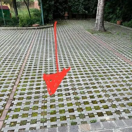 Oasis Of Tranquility Just Minutes From Downtown